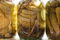 Homemade pickled cucumbers and zucchini in glass jars on the windowsill Royalty Free Stock Photo