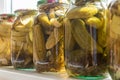 Homemade pickled cucumbers and zucchini in glass jars on the windowsill Royalty Free Stock Photo