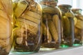 Homemade pickled cucumbers and zucchini in glass jars on the windowsill Royalty Free Stock Photo