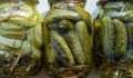 Homemade pickled cucumbers and zucchini in glass jars on the windowsill Royalty Free Stock Photo