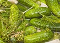 Homemade pickles in brine Royalty Free Stock Photo