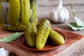 Homemade pickles Royalty Free Stock Photo