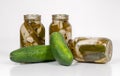 Homemade Pickles with Cucumbers Royalty Free Stock Photo