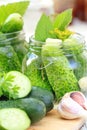 Homemade pickles in jar. Preserving pickled cucumbers. Royalty Free Stock Photo