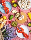 Homemade picnic with fresh fruits, vegetables, salad, orange juice, flowers and baguette on a red plaid