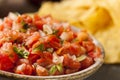 Homemade Pico De Gallo Salsa and Chips Royalty Free Stock Photo