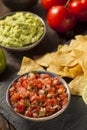 Homemade Pico De Gallo Salsa and Chips Royalty Free Stock Photo