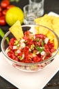 Homemade Pico De Gallo Salsa and Chips Royalty Free Stock Photo