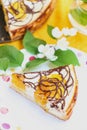 Homemade pie with apricots and chocolate Royalty Free Stock Photo