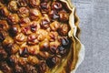 Homemade pie with fresh apricots in a dish Royalty Free Stock Photo