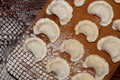 Homemade pierogi dumpling, traditional East European food before