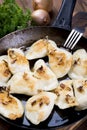 Homemade pierogi dumplings