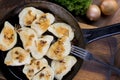 Homemade pierogi dumplings