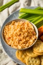 Homemade Pimento Cheese Spread Royalty Free Stock Photo