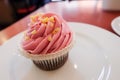 Homemade Pink chocolate cupcake on white plate