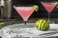 Homemade Pink Vodka Cosmopolitan Drink Royalty Free Stock Photo