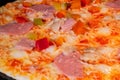 Homemade pizza baking on tray in electric oven: close up Royalty Free Stock Photo