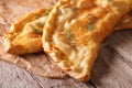 Homemade pizza calzone macro on a paper on the table. horizontal Royalty Free Stock Photo