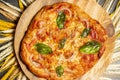 Homemade pizza made with poolish Royalty Free Stock Photo