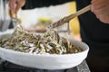 Homemade Pizzoccheri alla Valtellinese Royalty Free Stock Photo