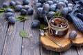 Homemade plum jam in a glass jar and fresh blue plums in a bowl on a dark rustic wooden background with copy space top view. Royalty Free Stock Photo