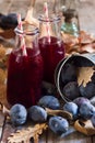 Homemade plum juice Royalty Free Stock Photo