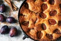 Homemade plum pie. Autumn plum pie.