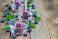 Homemade popsicles with blueberry