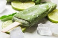 Homemade popsicles with kiwi Royalty Free Stock Photo