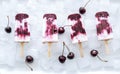 Homemade popsicles with yogurt and cherries on ice cubes