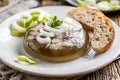 Homemade pork aspic, meat jelly with onion and leek in a white plate Royalty Free Stock Photo