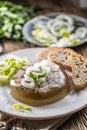 Homemade pork aspic, meat jelly with onion and leek in a white plate Royalty Free Stock Photo