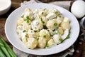 Homemade potato salad with eggs and green onion Royalty Free Stock Photo