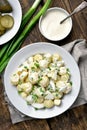 Homemade potato salad Royalty Free Stock Photo