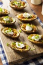 Homemade Potato Skins with Bacon Royalty Free Stock Photo