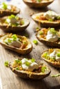 Homemade Potato Skins with Bacon Royalty Free Stock Photo