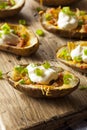 Homemade Potato Skins with Bacon Royalty Free Stock Photo