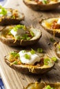 Homemade Potato Skins with Bacon Royalty Free Stock Photo