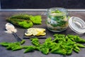 Homemade preparing of spruce shoots sirup