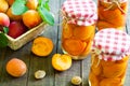 Homemade preserved apricot