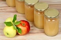 Homemade preservers.ed apple puree in jars Royalty Free Stock Photo