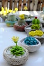 Homemade product for home decoration, group of succulent, cactus crochet in cement pot on white background