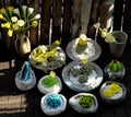 Homemade product for home decoration, group of succulent, cactus crochet in cement pot on wooden background