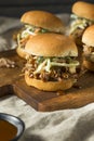 Homemade Pulled Pork Sliders Royalty Free Stock Photo