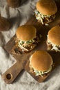 Homemade Pulled Pork Sliders Royalty Free Stock Photo