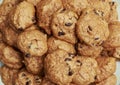 Homemade Pumpkin Chocolate Chip Cookies served on a plate. Royalty Free Stock Photo