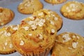 Homemade pumpkin oatmeal muffins Royalty Free Stock Photo