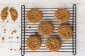 Homemade Pumpkin Snicker Doodle cookies