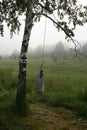 The homemade punching bag is suspended on a birch tree in the forest. Summer cloudy day after rain, fog, damp, bright green juicy