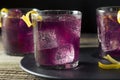 Homemade Purple Haze Cocktail Royalty Free Stock Photo